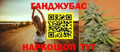 гидра Кингисепп