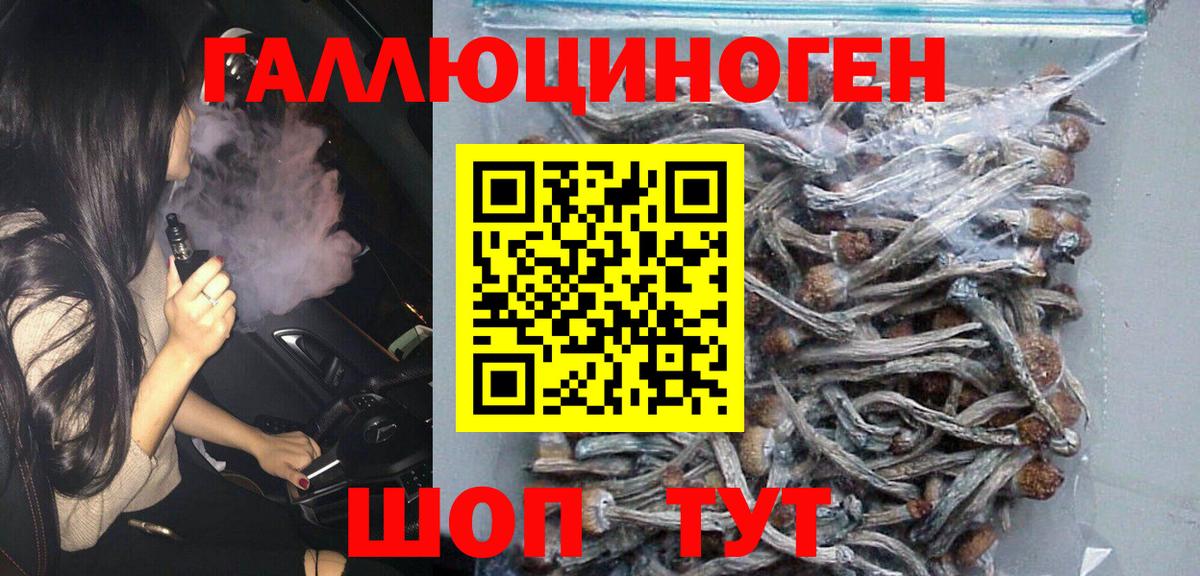 Химки  Галлюциногенные грибы Psilocybe  Вход с VPN 